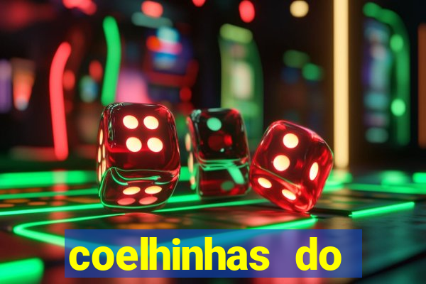 coelhinhas do brasil acompanhantes